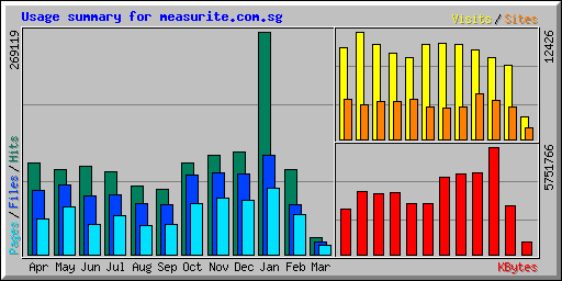 Usage summary for measurite.com.sg